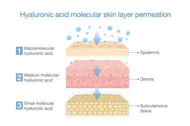 Hyaluronik asit moleküler deri tabakasına nüfuz ediyor. Tedaviyle ilgili resim derin cilt nemli ve su içinde Hyaluronic asit.