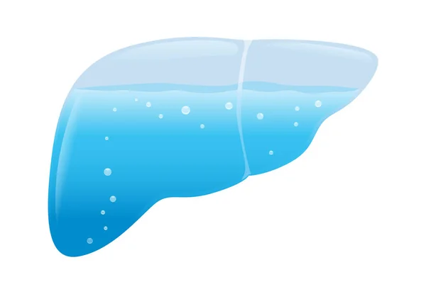 肝脏形状的水杯充满了清洁的水 关于饮水的益处的概念说明使健康的肝脏 — 图库矢量图片