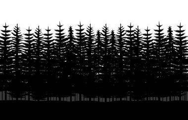Vector Pine Ormanı ve çam ağacı siluet el çizimi tarzında. Noel afişi şablonu ve kozalaklı orman sahnesi arka planı için ideal.