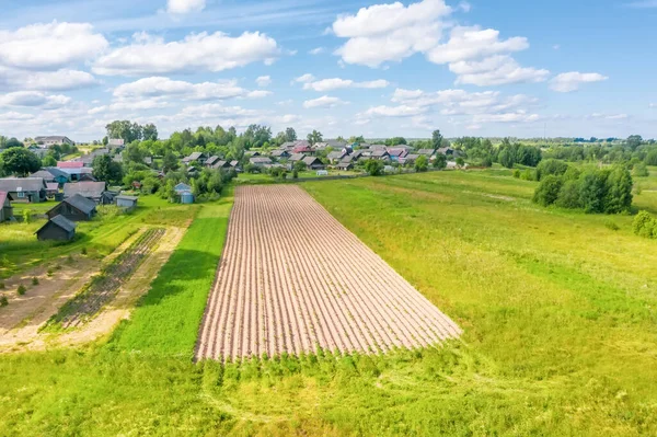 Beautiful Small Green Village Plowed Field Nearby Summer — Stock Photo, Image