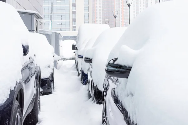 Cars Covered Fresh White Snow Storm — Stock Photo, Image