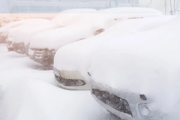 Śnieg Pokrył Samochody Parkingu Miejska Scowość Śnieżyca Czysty Samochód Śniegu — Zdjęcie stockowe