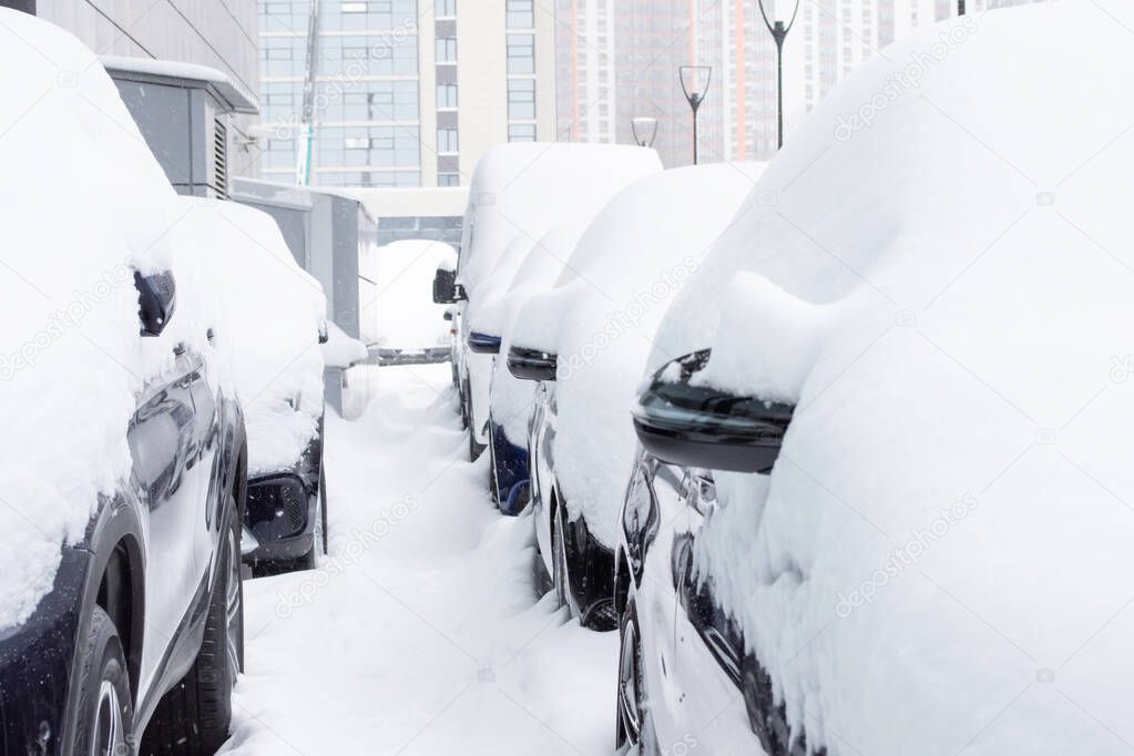 Cars covered with fresh white snow after storm