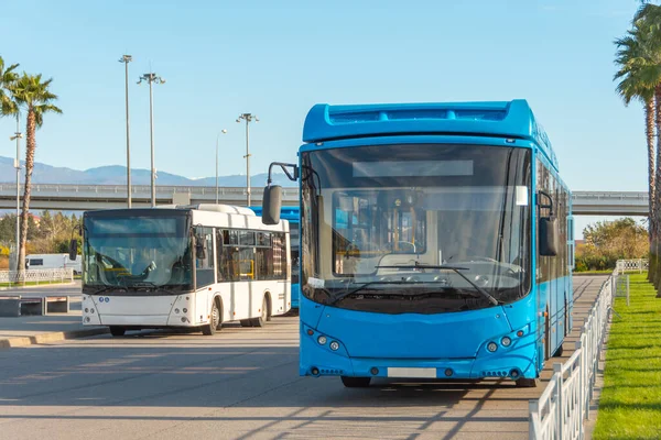 Синій Білий Автобуси Стоять Заключній Зупинці Міського Маршруту Пасажирського Транспорту — стокове фото