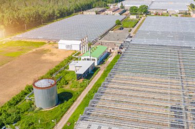 Sebze ve çiçek yetiştirmek için geniş cam seranın panoramik hava manzarası