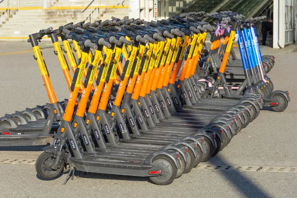 Elektrikli scooterlar kirada kürek çekmek için park edilmiş. Rusya, Soçi, 04 Aralık 2021