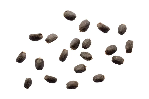Fesleğen tohumları beyaz, yakın plan, üst görüş. Beyaz arka planda siyah fesleğen tohumları, makro, üst manzara. Basil, Ocimum bazilika.