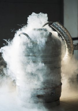 buhar ve sıvı nitrojen varili