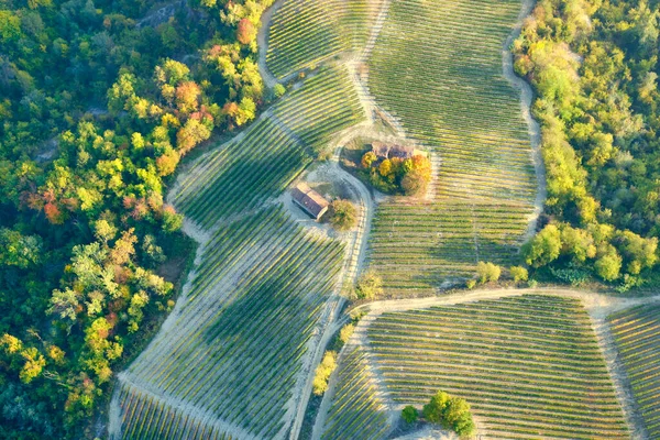 ブドウ畑に囲まれたいくつかの農場の空中ビュー ランゲの丘陵地帯 ピエモンテ州 北イタリア 秋の季節 ユネスコサイト2014年以来 — ストック写真