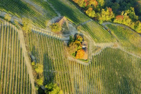 ブドウ畑に囲まれたいくつかの農場の空中ビュー ランゲの丘陵地帯 ピエモンテ州 北イタリア 秋の季節 ユネスコサイト2014年以来 — ストック写真