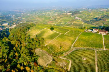 Langhe (Piedmont, Kuzey İtalya) tepe bölgesindeki üzüm bağlarının hava manzarası, sonbahar sezonu; 2014 yılından bu yana UNESCO Site.