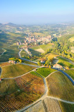 Langhe (Piedmont, Kuzey İtalya) tepe bölgesindeki üzüm bağlarının hava manzarası, sonbahar sezonu; 2014 yılından bu yana UNESCO Site.