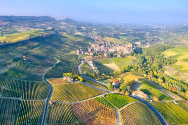 Langhe (Piedmont, Kuzey İtalya) tepe bölgesindeki üzüm bağlarının hava manzarası, sonbahar sezonu; 2014 yılından bu yana UNESCO Site.