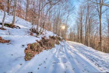 Kış ormanı, Oltrepo Pavese (Kuzey İtalya, Lombardy Bölgesi, Lombardy Bölgesi) dağlık bölgesinde karla kaplıdır.).