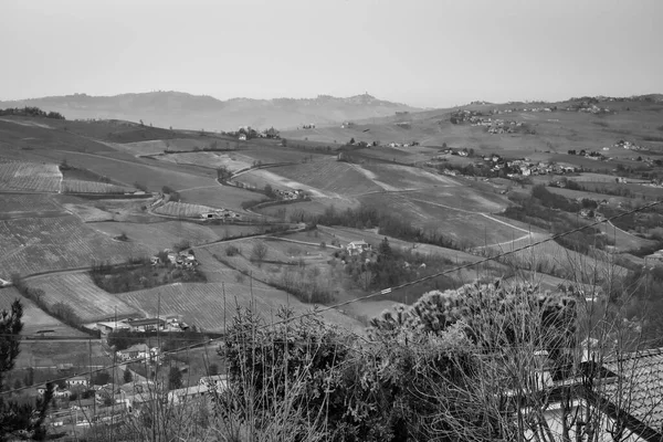 Panorama Primaverile Dei Vigneti Sulle Colline Oltrepo Pavese Lombardia Nord — Foto Stock