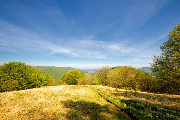 Panorama Depuis Sommet Pic Lesima Lombardie Italie Nord Est Une — Photo