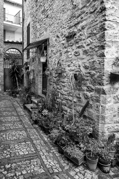 Vista Blanco Negro Antiguo Callejón Pueblo Spello Región Umbría Italia —  Fotos de Stock