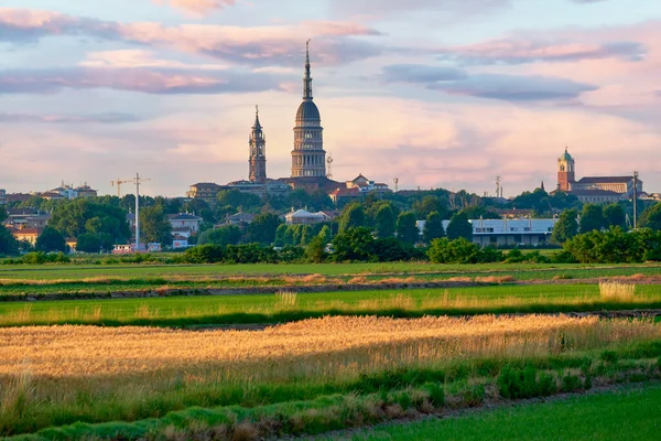 Tidig Sommar Soluppgång Antonelli Dome Skyline Staden Novara Piemonte Norra Royaltyfria Stockbilder