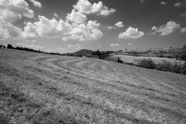 Summer Panorama Hills Nizza Valley Part Hilly Area Oltrepo Pavese — Stock Fotó