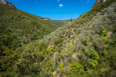Val Nervia 'nın tepeleri, ormanları ve zeytin ağaçları, İtalya-Fransa sınırı yakınlarındaki Liguria Bölgesi' nde deniz ile Ligurian Alpleri arasında yeşil bir vadidir..