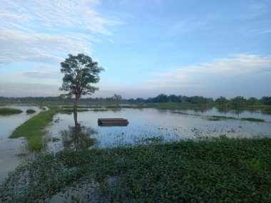 Arkasında bir göl olan güzel bir manzara.