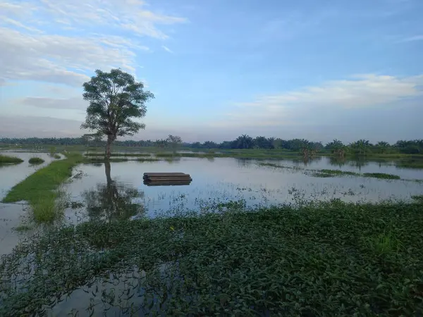 美丽的风景 有河流和湖泊 — 图库照片