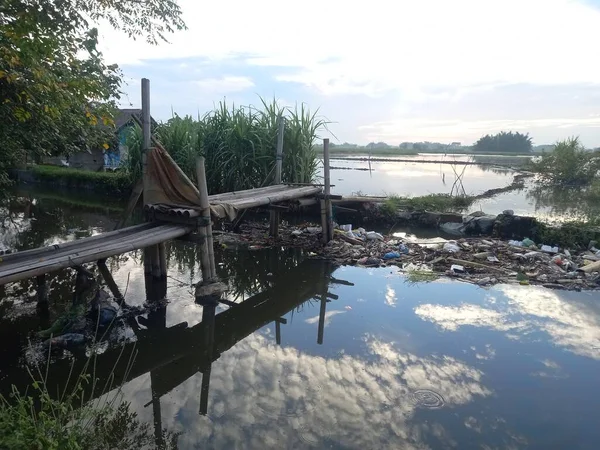 Güzel göl manzarası