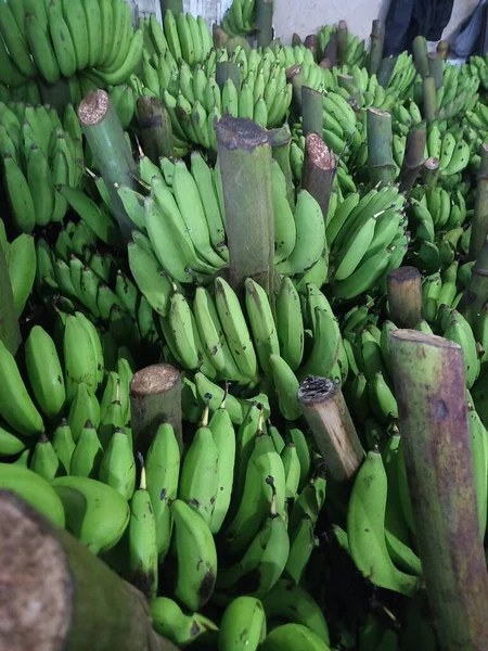 Çiğ yeşil muz yığını