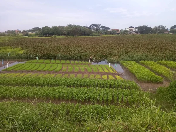 Tayland şehrinin güzel manzarası