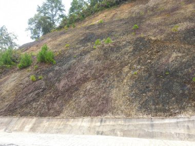 Asfalt yolda çok beton var..