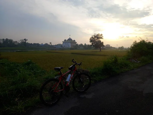 Fiets Het Park — Stockfoto