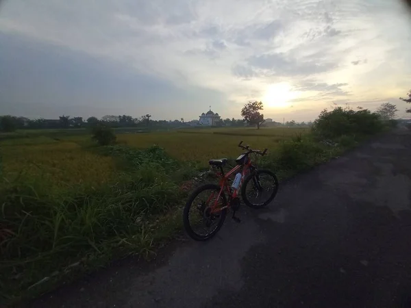 Uma Bicicleta Parque — Fotografia de Stock