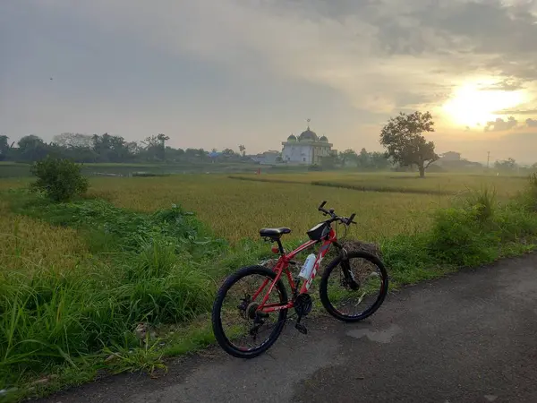 Bicicleta Parque — Foto de Stock