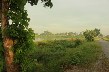 Yapay göl kenarındaki yeşil manzara