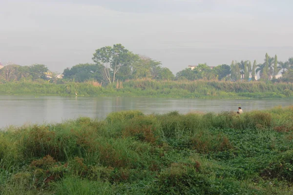 Paysage Vert Bord Lac Artificiel — Photo