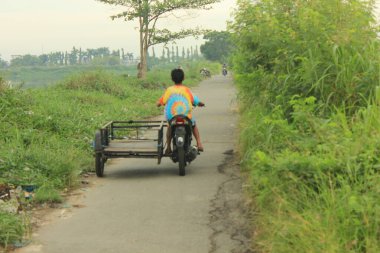 Parkta bisiklet süren bir adam.