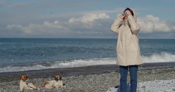 Happy young woman standing by the sea and looking through binoculars. Tourist girl enjoying beautiful views on sunny day on beach with dogs. Female traveler during vacation — Stockvideo