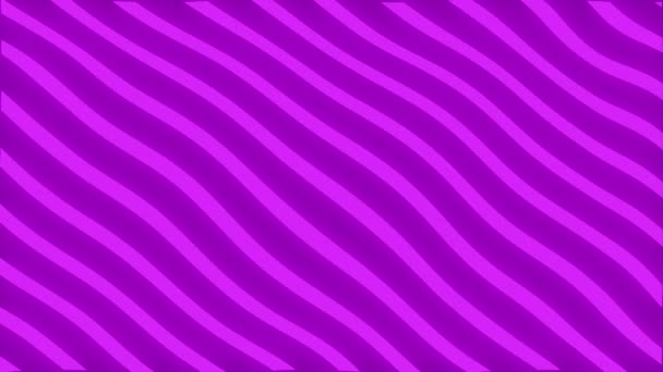 Animated background with moving diagonal twisting lines in violet and dark violet colors. The stripes are located alternately. — Vídeo de Stock