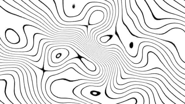 Animation abstraite de lignes noires brillantes mobiles ondulées avec rotation sur fond blanc — Video