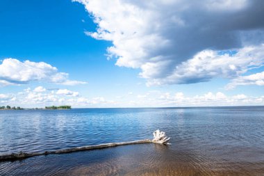 Snag in the river wallpaper. Nature cloudscape background. Summer travelling or tourism