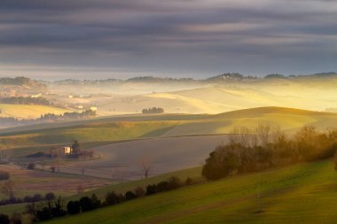 Tree on the field against hills with mist at dawn