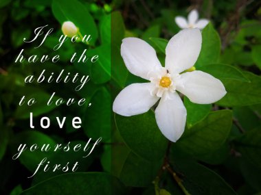 White flowers in a field with a motivational and inspirational quote - If you have the ability to love, love yourself first.
