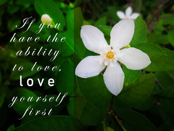 White Flowers Field Motivational Inspirational Quote You Have Ability Love — 图库照片