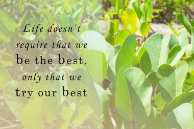 Motivational and inspirational quote on blurred leaves background - Life does not require that we be the best, only that we try our best