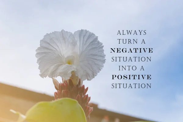 Motivational Inspirational Quote White Flower White Clouds Always Turn Negative — ストック写真