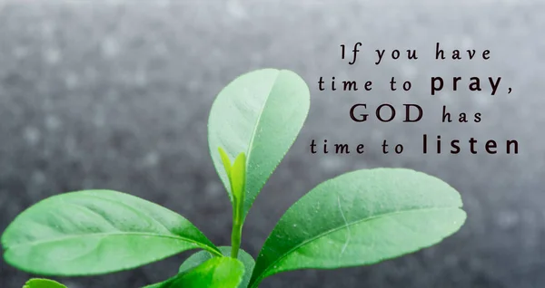 关于绿色植物模糊背景的激励性和启发性的引文 如果你有时间祷告 上帝就有时间聆听 — 图库照片