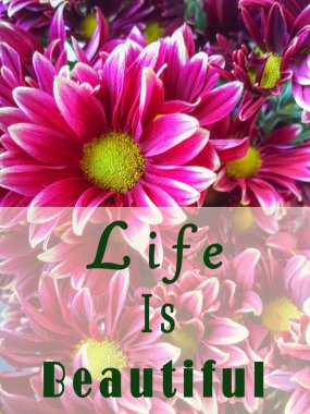 Hayat güzel bir metindir. Parlak, güzel bir buket kırmızı çiçek ve kırıntı.