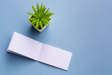 Mavi arka planda saksı bitkisi olan not defteri. Tam üstte. Düz konum, İleti ve anımsatma kavramı.