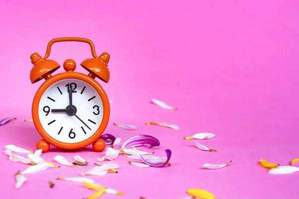 Orange alarm clock set at 9 oclock isolated with flower petals. — Zdjęcie stockowe