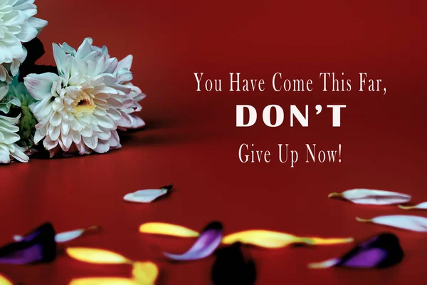 Inspirational Motivational Life Quote Red Background Flowers You Have Come — Photo